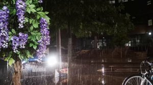 5108693-uhd_3840_2160_30fps