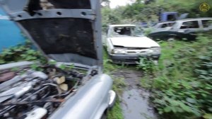 ABANDONED Classic Jaguar Graveyard!