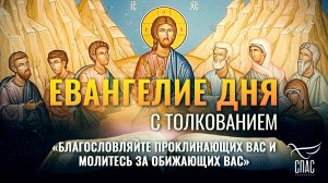 «БЛАГОСЛОВЛЯЙТЕ ПРОКЛИНАЮЩИХ ВАС И МОЛИТЕСЬ ЗА ОБИЖАЮЩИХ ВАС» / ЕВАНГЕЛИЕ ДНЯ