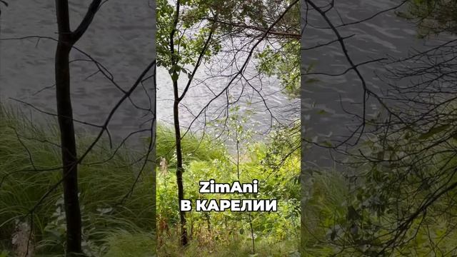Подготовка к соревнованиям в Карелии #stihl #husqvarna #zimani