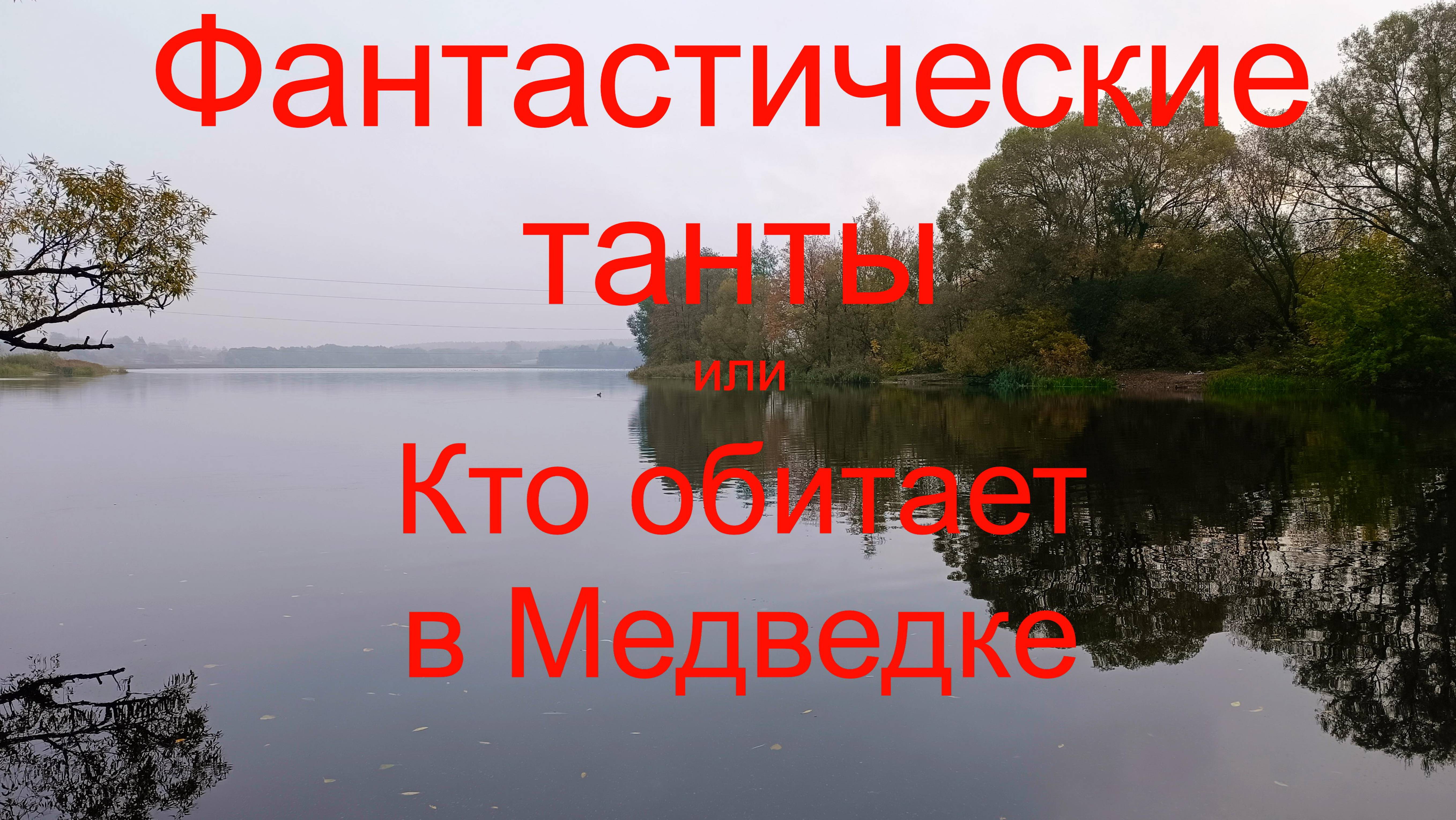 Фантастические танты или Кто обитает в Медведке. г. Воскресенск. река Медведка.07.10.2024.