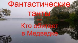 Фантастические танты или Кто обитает в Медведке. г. Воскресенск. река Медведка.07.10.2024.