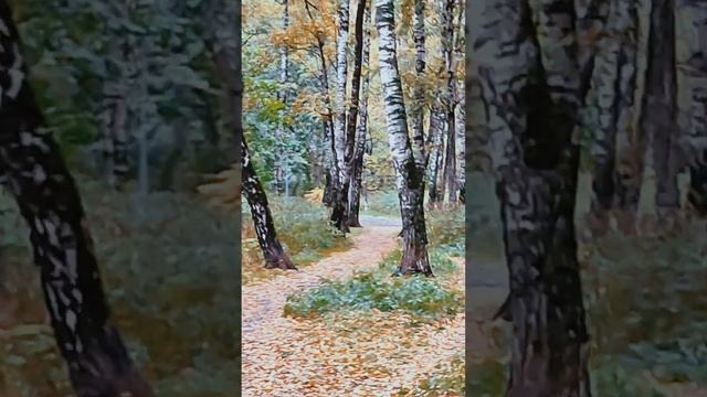 Путь