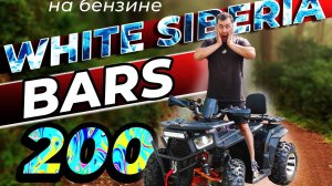 Бензиновый квадроцикл White Siberia BARS 200CC мощный и бюджетный