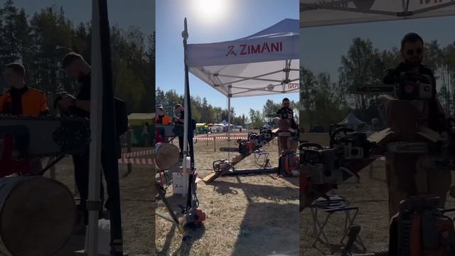 ZimAni в Судогде. День леса