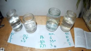 МЕРТВАЯ ВОДА В АКВАРИУМЕ . ТЕСТЫ . DEAD WATER IN THE AQUARIUM . TESTS.