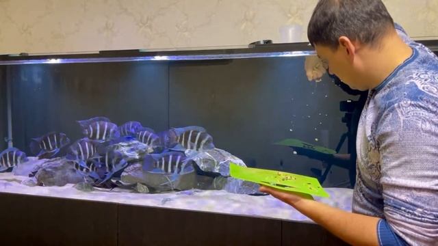 18 декабря 2021 г. смотреть онлайн