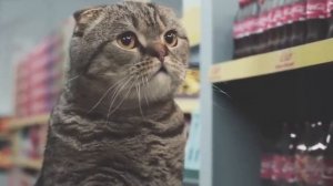 🤣🤣🤣🤣🤣🤣🤣