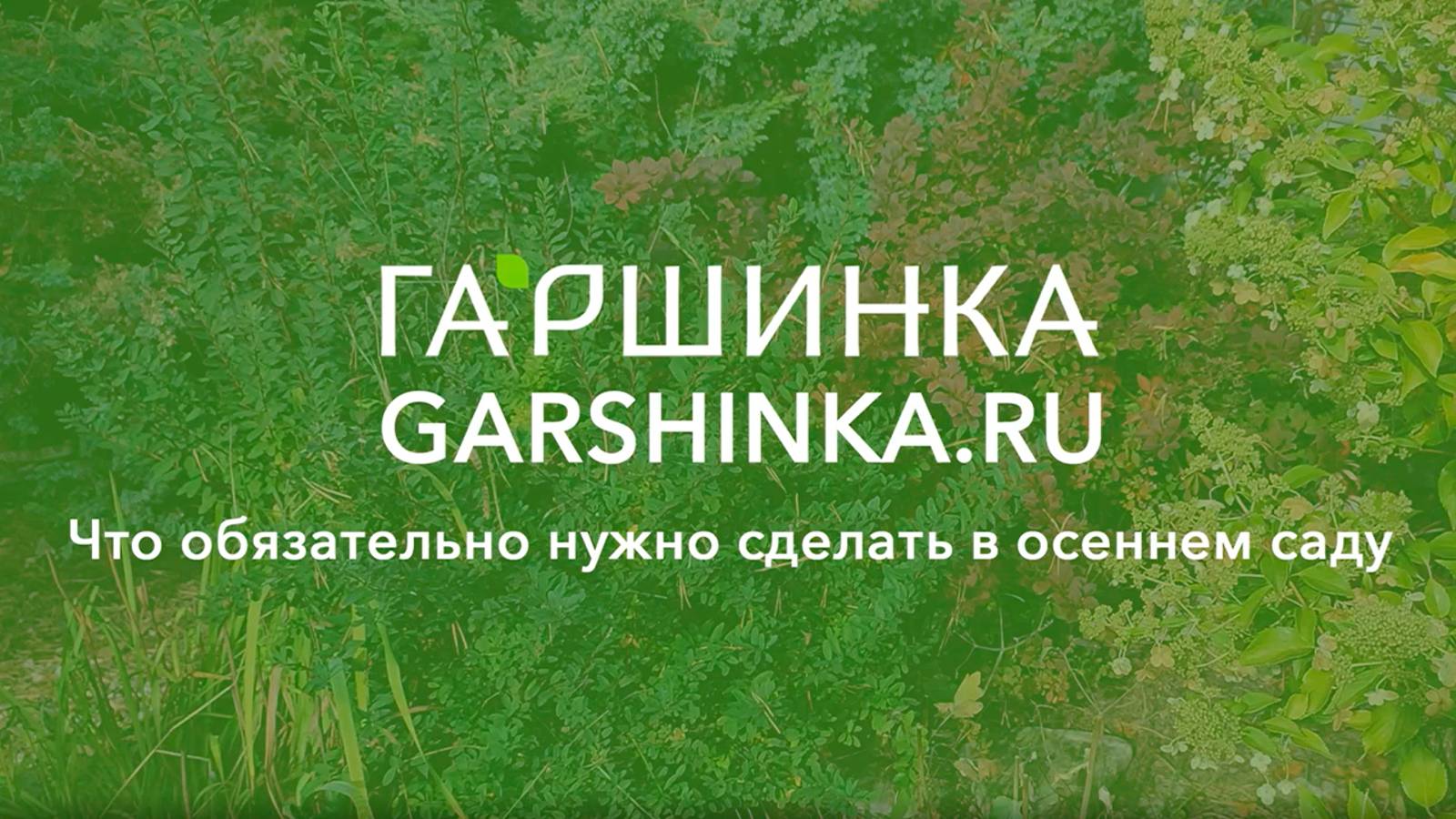 Что обязательно нужно сделать в осеннем саду?