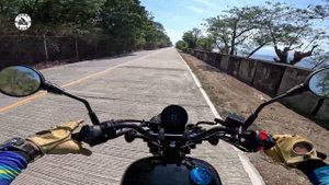 QJ Motor SRV 200 | Full Review