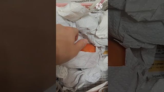 🍅 Как дозревают зелёные томаты