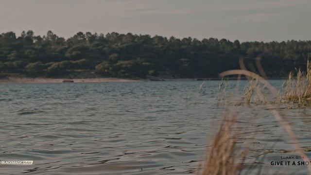 Blackmagic RAW  Panasonic S1H sample footage