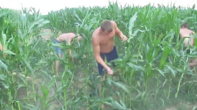 2км VS Кукурузка смотреть онлайн