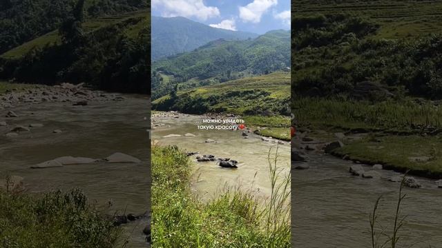 Мы не знали, что во Вьетнаме...