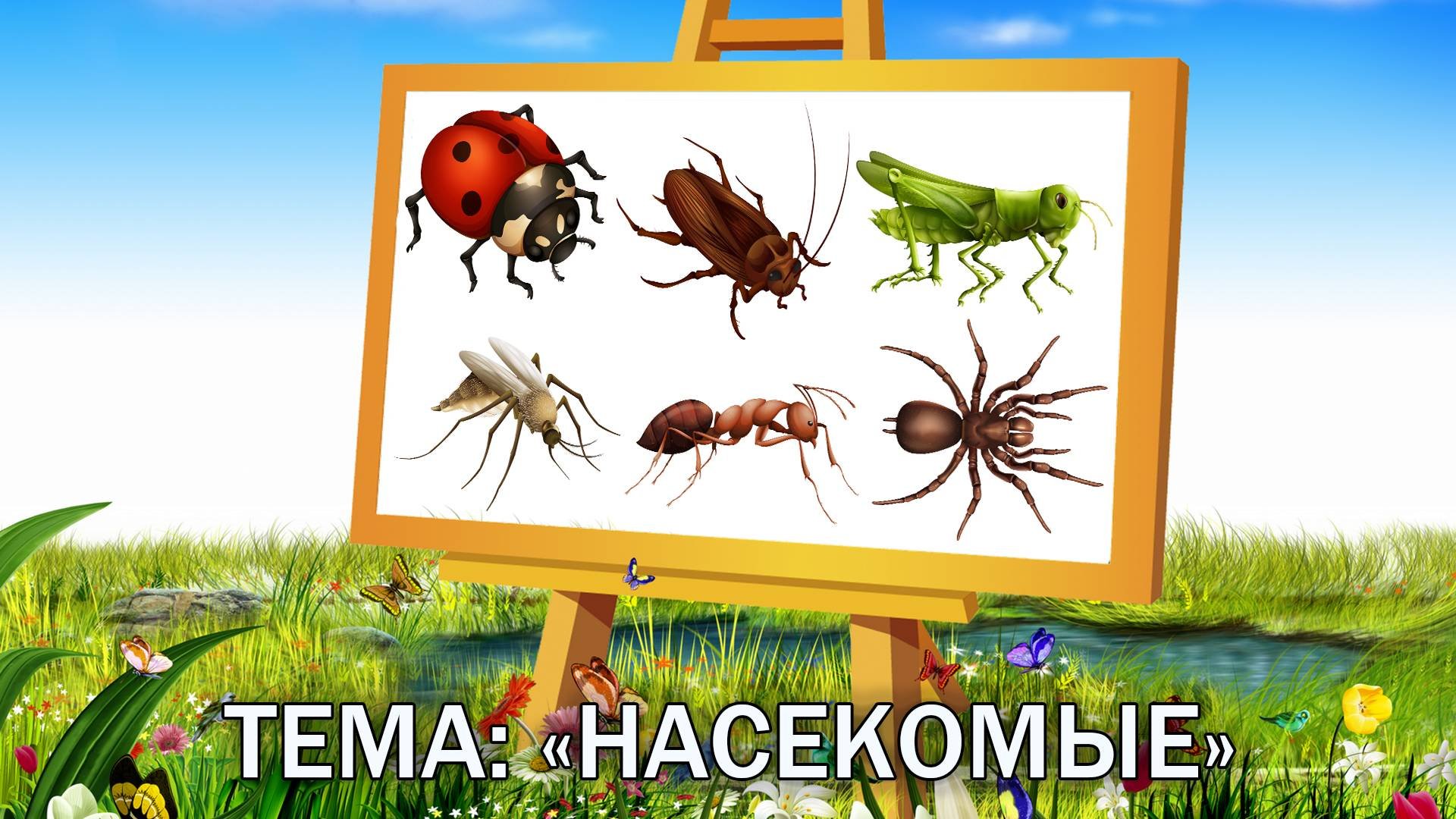 Насекомые