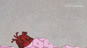 Анатомия за 20 минуты