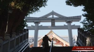 Panasonic GH6 Test Footage