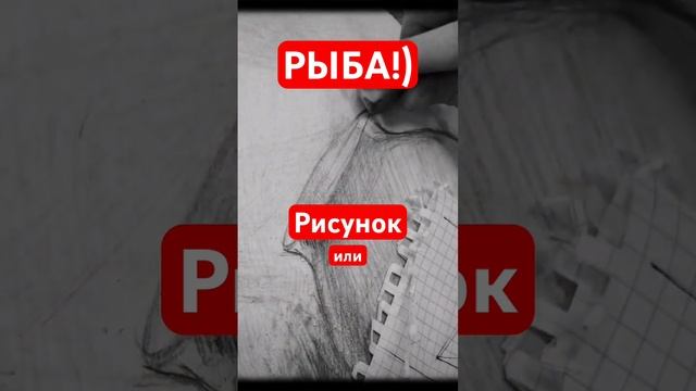 РЫБА_ ЭЛЛИПС_ #art #рисунок #топ #арт #лайфхак #top #sketch #artwork  #скетч #artist #shorts #tiktok