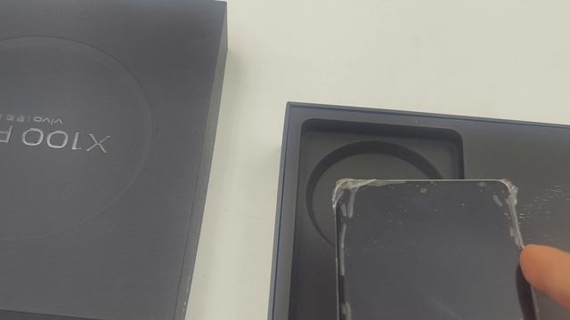 vivo x100pro отправка