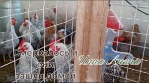 Билефельдер серебро на выставке в Германии#Разбор ошибок#