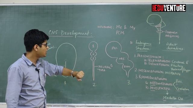 Central Nervous System (CNS) Development - Tamoghna Banerjee Sir - Genesis Eduventure