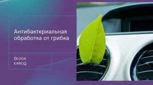 Антибактериальная обработка от грибка. SKODA KAROQ