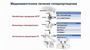 Синдром Иценко-Кушинга: старые проблемы, новые решения
