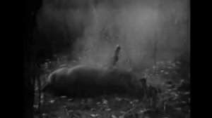 Der Dritte Raum vs Adamski - Hale Bopp vs Killer (Soul Tan Mashup)