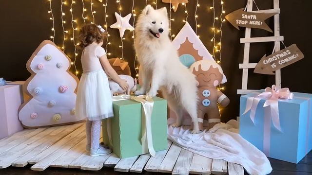 Ролик в Инстаграм (Instagram) для фотографа. смотреть онлайн