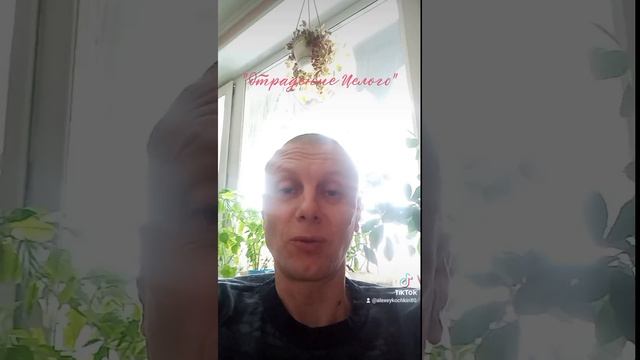 "Отражение Целого"