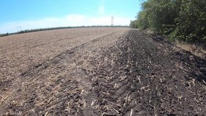 охота на зайца 1