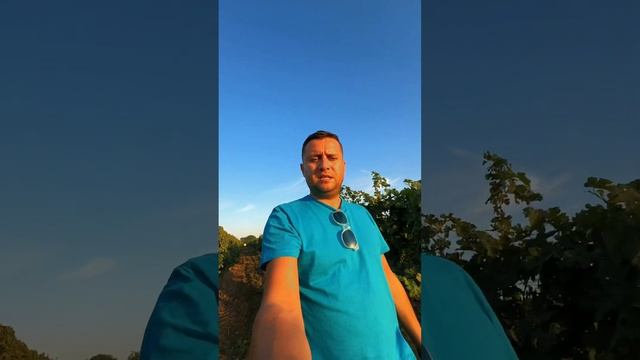 Виноградинки Азовского побережья!