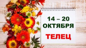 ♉ ТЕЛЕЦ. 🏵 С 14 по 20 ОКТЯБРЯ 2024 г. 🌼 Таро-прогноз 💝