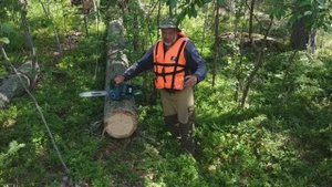 В турпоходе нам в помощь аккумуляторная пила Makita 353 очень помогает с дровами