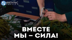 Вместе мы – сила!