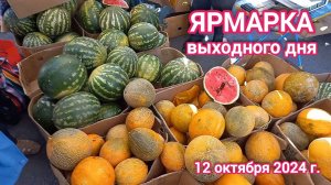 Краснодар - Ярмарка выходного дня на ул. Одесская - цены на продукты - 12 октября 2024 г.