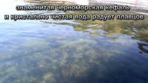 Пляж санатория Ломоносова - это купание в чистой воде и пляжный досуг в 100 метрах от санатория.