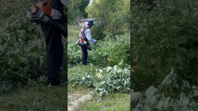 Отзыв на кусторез FS450 ZimAni #stihl #zimani #husqvarna
