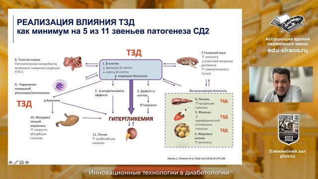 Клинические аспекты инсулинорезистентности. Тиазолидиндионы