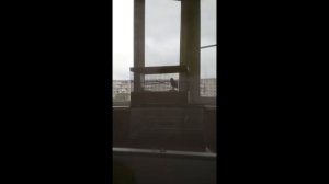 Видео друзей