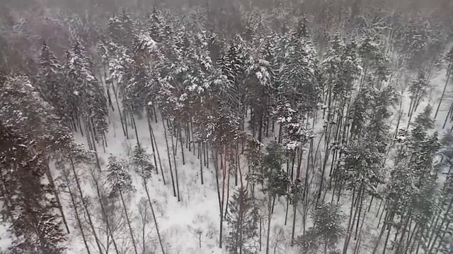 Заказал КУКЛУ АННАБЕЛЬ с Даркнет! Заснял ее на камеру! Никогда не заказывай духов в 3:00 ночи! смотреть онлайн