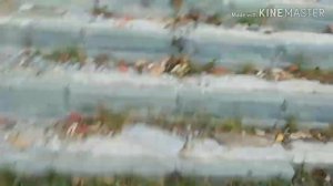 Школьники на заброшке!