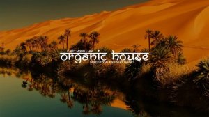 Organic House Mix (Oliver Koletzki, Stavroz, Luka, etc) East Wind by alexkingdompro
