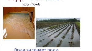 № 248 Учим русский  глаголы, связанные с водой  литься, течь, кипеть....и тд - примеры и фразы