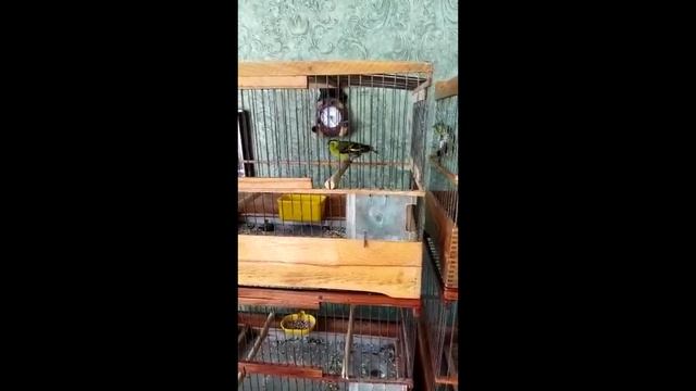 Видео друзей смотреть онлайн