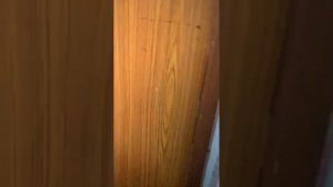 Распашной лифт «КМЗ-58»