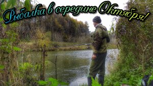 РЫБАЛКА 🐟 НА ПОПЛАВОК! ОСЕННИЕ РЫБЫ ИСПЫТЫВАЮТ ЛЕСКУ НА ПРОЧНОСТЬ. ДАВНО Я