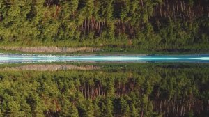 Сохраним наши леса