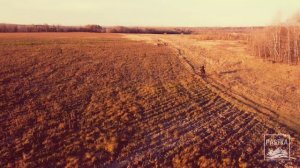 DJI MINI 2 - Баста