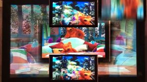 YTPMV Bear Big House Scan.mp4